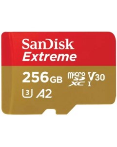 Карта памяти microSDXC 256Gb SDSQXAV 256G GN6MN Sandisk