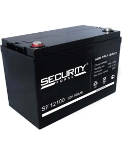 Аккумуляторная батарея SF 12100 Secuirity Force Дельта