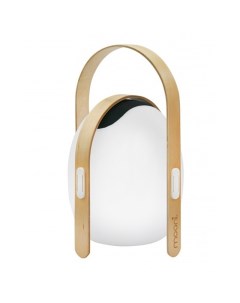 Декоративная настольная лампа GIGGLE OVS1100 CH WH Iledex