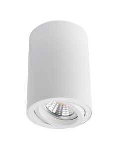 Точечный накладной светильник SENTRY A1560PL 1WH Arte lamp