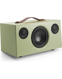 Портативная колонка C5 MkII sage green Audio pro