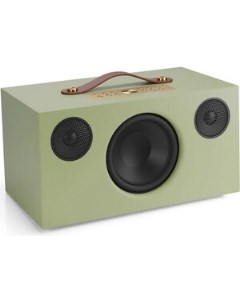 Портативная колонка C10 MkII Sage Green Audio pro