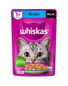 Влажный корм для кошек желе с лососем 75 г Whiskas