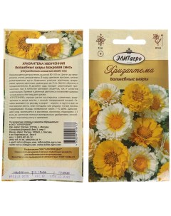 Семена Цветы Хризантема Волшебные шары 0 3 г цветная упаковка Элитагро