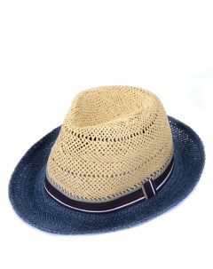 Шляпа мужская HW25 5 1 синий бежевый Fabretti