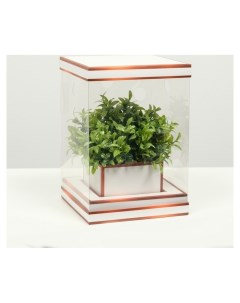 Коробка для цветов с вазой и PVC окнами складная бронза 16 х 23 х 16 см Nnb