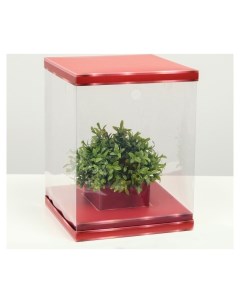 Коробка для цветов с вазой и PVC окнами складная красный 23 х 30 х 23 см Nnb