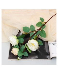 Цветы искусственные Роза пионовидная галант 7х61 см белый Nnb