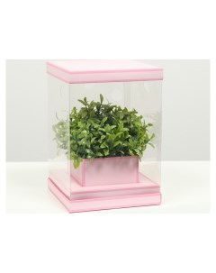 Коробка для цветов с вазой и PVC окнами складная розовый 16 х 23 х 16 см Nnb
