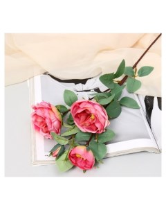 Цветы искусственные Роза пионовидная галант 7х61 см розовый Nnb