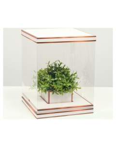 Коробка для цветов с вазой и PVC окнами складная бронза 23 х 30 х 23 см Nnb