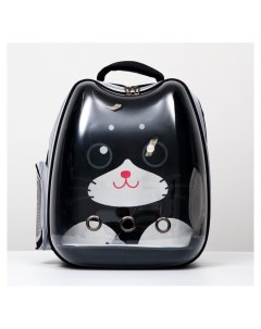 Рюкзак для переноски животных Котик прозрачный 34 х 25 х 40 см чёрный Пижон