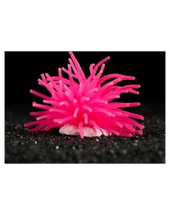 Декоративный анемон для аквариума пижон аква розовый 8 х 5 см Кнр