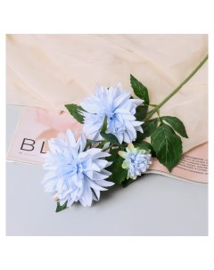 Цветы искусственные Георгин садовый галант 11х61 см голубой Nnb