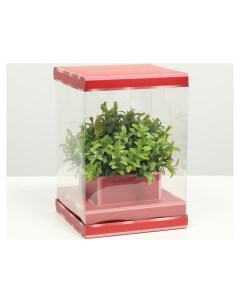 Коробка для цветов с вазой и PVC окнами складная красный 16 х 23 х 16 см Nnb
