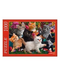 Пазлы 1000 элементов Котята в саду Рыжий кот (red cat toys)