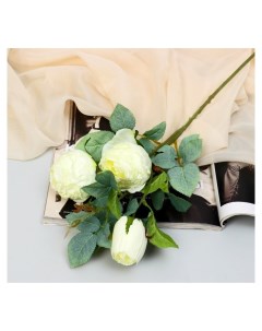 Цветы искусственные Роза грация 7х57 см молочный Nnb