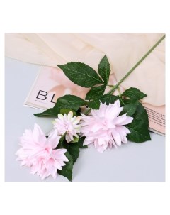 Цветы искусственные Георгин садовый галант 11х61 см розовый Nnb