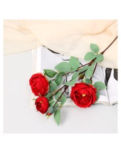 Цветы искусственные Роза пионовидная галант 7х61 см красный Nnb