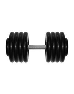 Гантель профи 43 5 кг Mb barbell