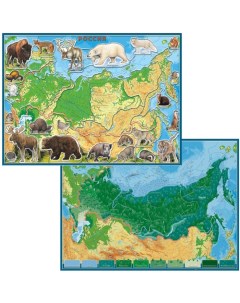 Географический пазл Животные и Природные Зоны РФ Геоцентр