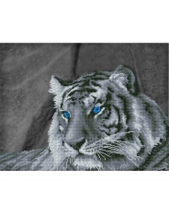 Кристальная мозаика Загадочный тигр 52х39 5 см Freya