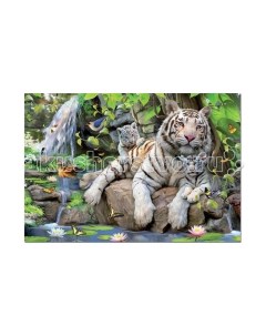 Пазл Белые Бенгальские Тигры 1000 элементов Educa