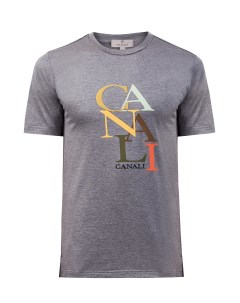 Хлопковая футболка с макро принтом и вышивкой Canali