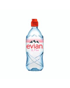 Вода минеральная негазированная 0 75 л Evian