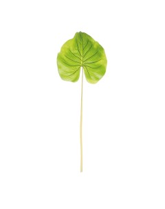 Искусственное растение Лист алоказии зеленый 85см Riverdale