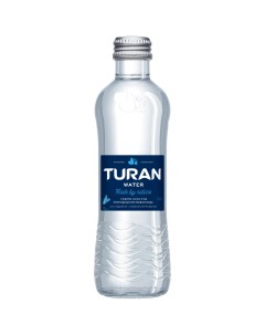 Вода минеральная газированная 0 5 л Тuran