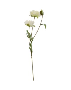 Искусственный цветок Мак кремовый 72 см Dpi