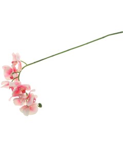 Искусственный цветок орхидея 72 см кремово розовая Dpi