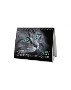 Календарь домик Породистые кошки на 2021 год Nd play