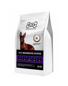 Dog Moderate Active сухой корм для взрослых собак с умеренной активностью с уткой ягненком и тунцом Gina