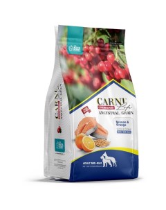 Medium Maxi полнорационный сухой корм для собак средних и крупных пород низкозерновой с лососем апел Carni life