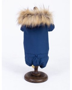 Зимний костюм Королевский синий XL Royal pet