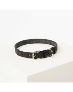 Кожаный ошейник Tesoro Collar XS 22 27 см Черный графит Barq