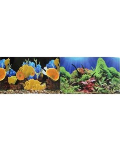 Фон двусторонний для аквариума Морские кораллы и Подводный мир 30х60 см Prime