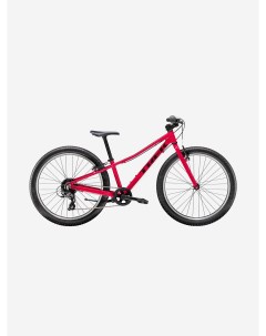 Велосипед подростковый женский Precaliber 24 8SP 24 2022 Розовый Trek
