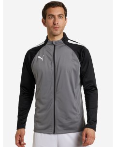 Куртка мужская Teamliga Серый Puma