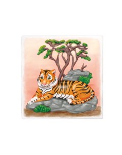 Раскраска многоразовая Тигр 20х20 см Maxi art