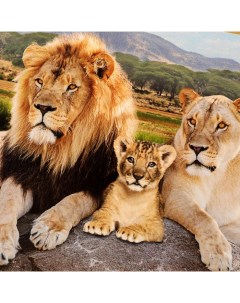 Пазлы Удивительный мир Семья львов 500 деталей Умные игры