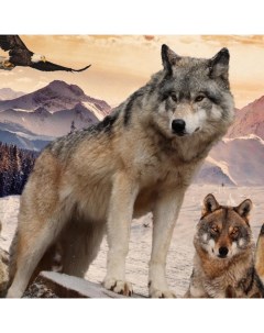 Пазлы Удивительный мир Волки в снегу 500 деталей Умные игры
