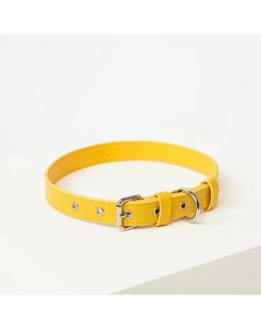 Кожаный ошейник Oro Collar XS 22 27 см Лимон Barq