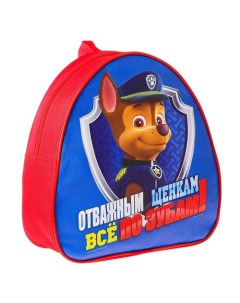 Детский набор рюкзак пенал 3623564 красный синий Paw patrol