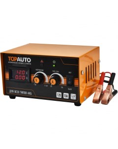 Автоматическое зарядное устройство Topauto