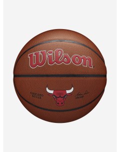 Мяч баскетбольный NBA Team Alliance Chi Bulls Коричневый Wilson
