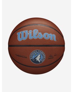Мяч баскетбольный NBA Team Alliance Mini Timber Коричневый Wilson