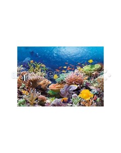 Пазл Коралловый риф 1000 элементов Castorland